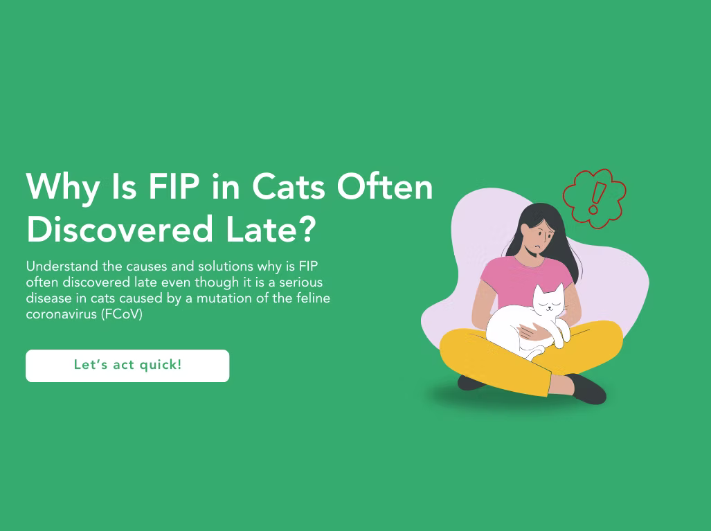 Why Is FIP in Cats Often Discovered Late? Understand the Causes and Solutions!