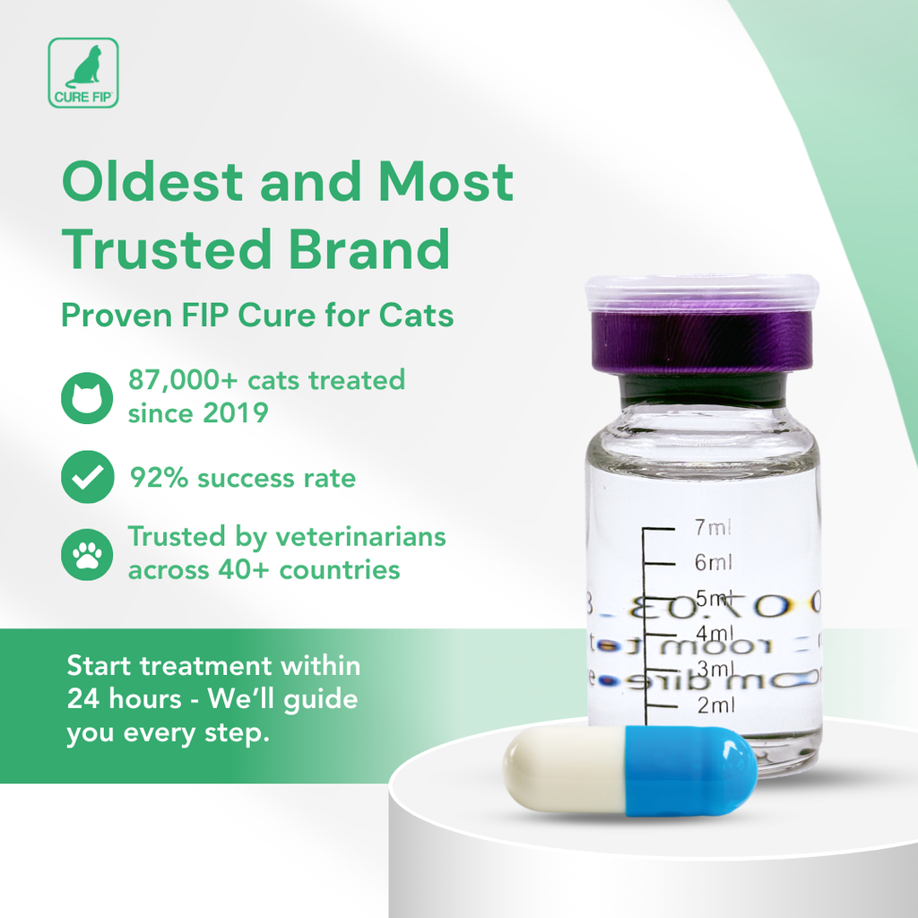 GS-441524 Oral Capsules for Cats