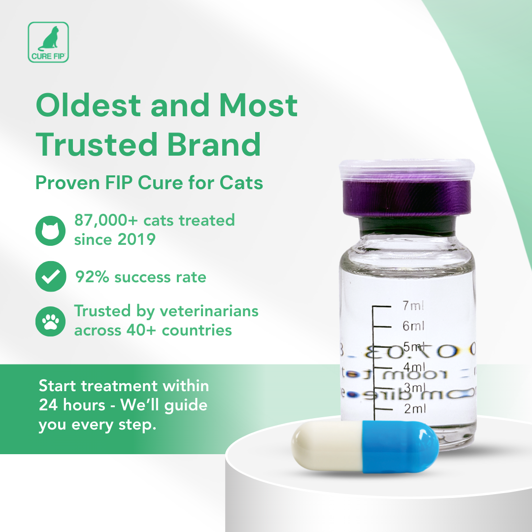 GS-441524 Oral Capsules for Cats