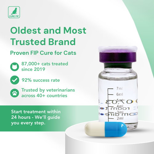 GS-441524 Oral Capsules for Cats