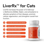 LiverRx™ – Advanced Liver Support for FIP Cats