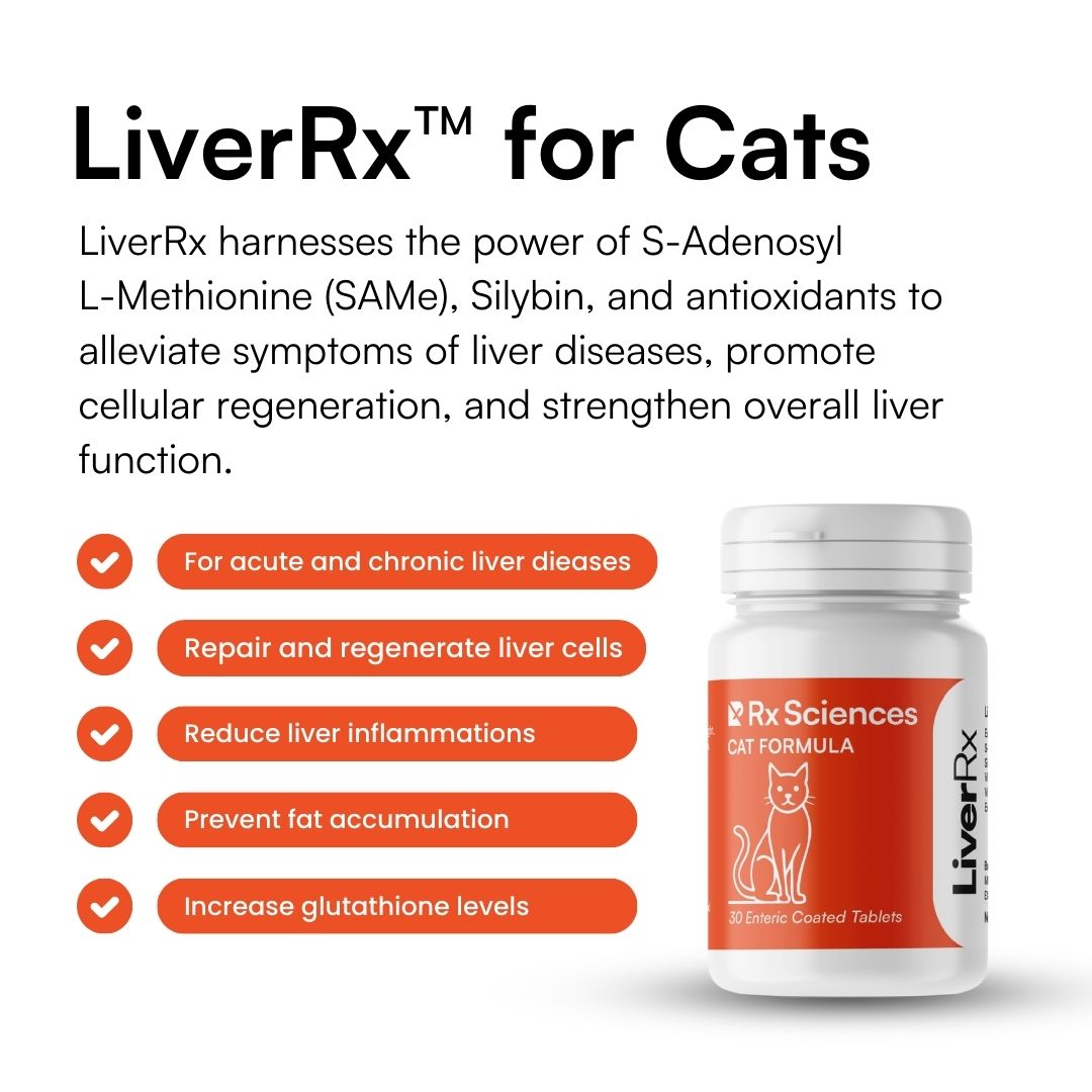 LiverRx™ – Advanced Liver Support for FIP Cats