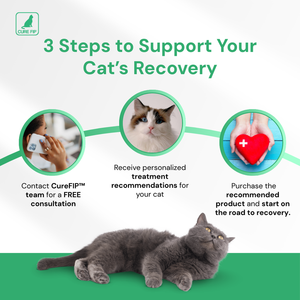 GS-441524 حقن، 40 ملغم/مل