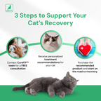 GS-441524 حقن، 40 ملغم/مل