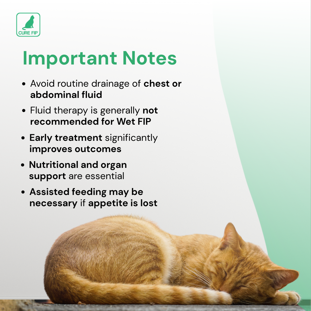 GS-441524 حقن، 40 ملغم/مل