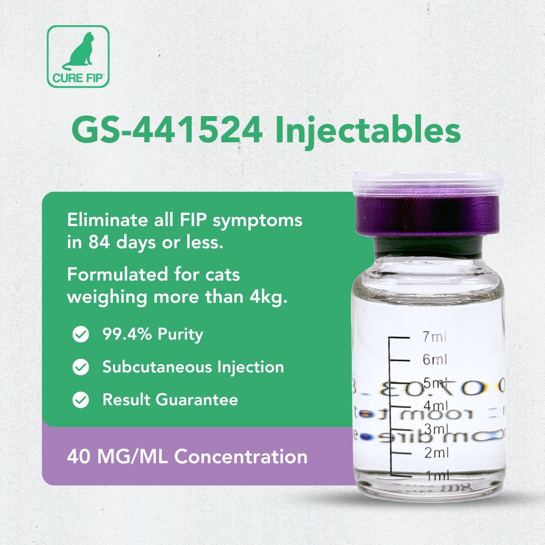 GS-441524 حقن، 40 ملغم/مل