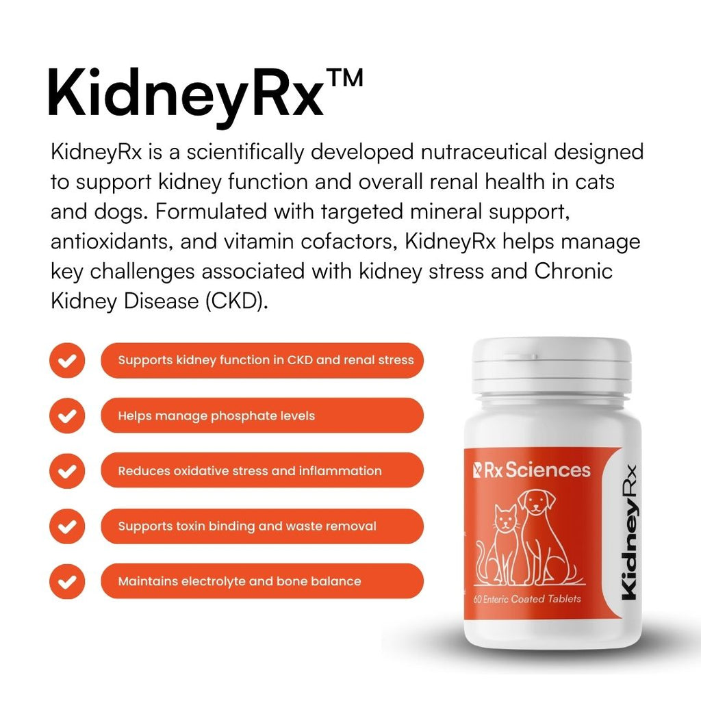 KidneyRX™ - Advanced Kidney Support for FIP Cats