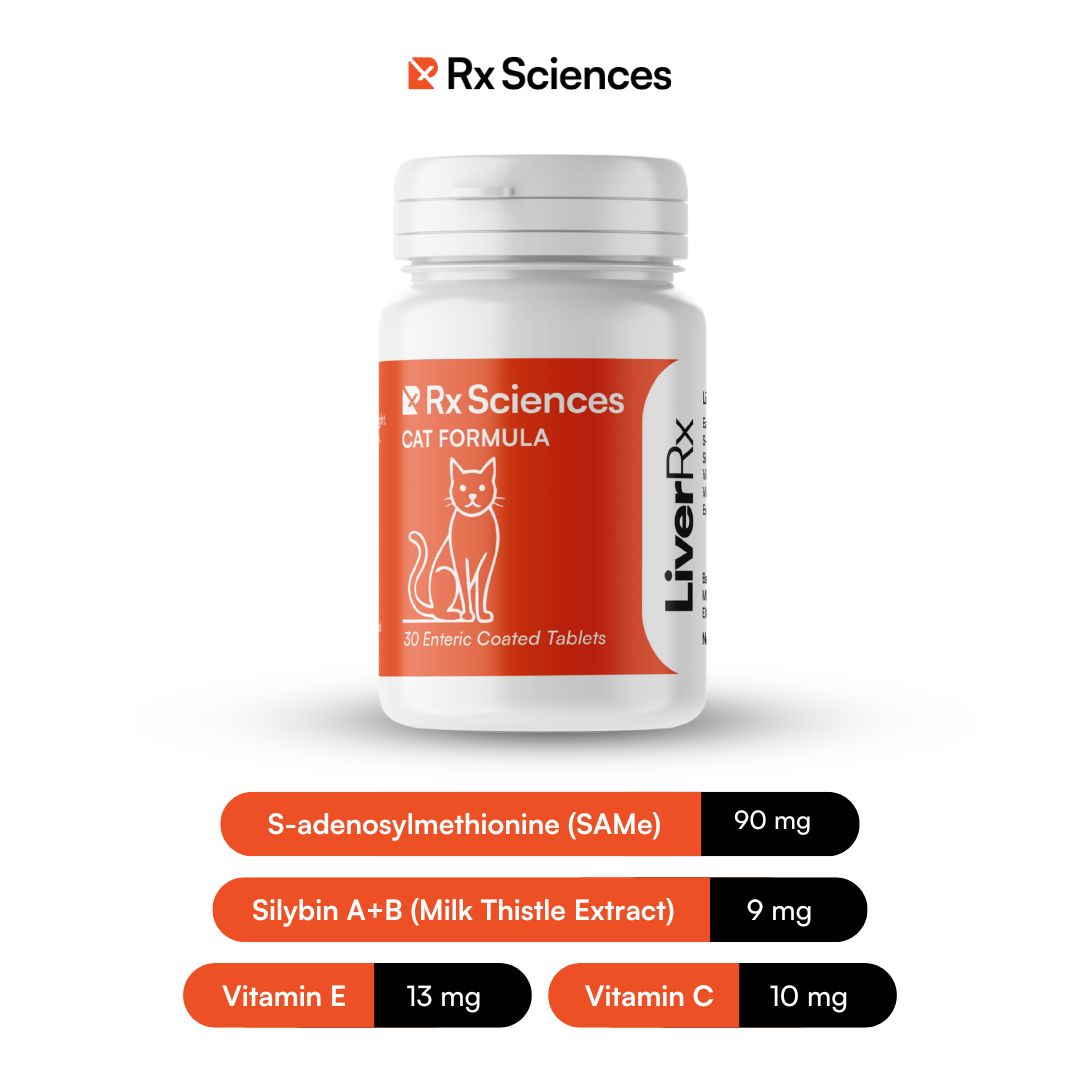 LiverRx™ – Advanced Liver Support for FIP Cats
